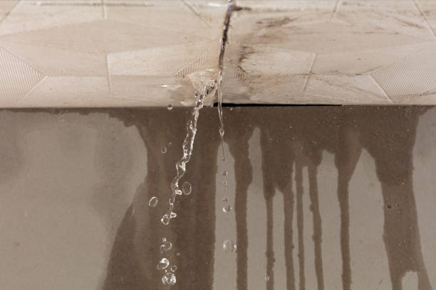 Professional Sewage Cleanup technician working in Arcadia, LA
